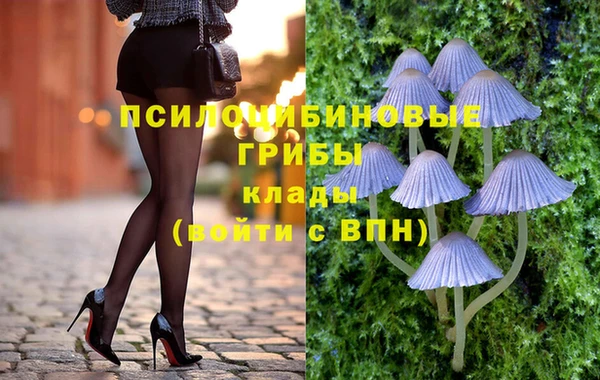 первитин Арсеньев