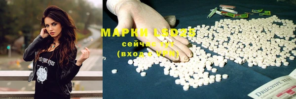 СК Аркадак