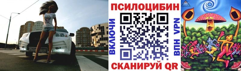 Псилоцибиновые грибы Cubensis  Сафоново 